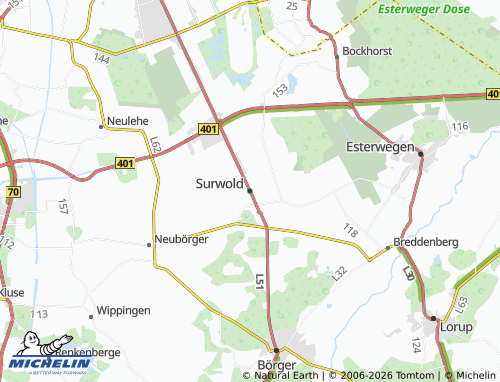 MICHELIN Surwold map - ViaMichelin
