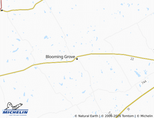 Mappa MICHELIN Blooming Grove - ViaMichelin