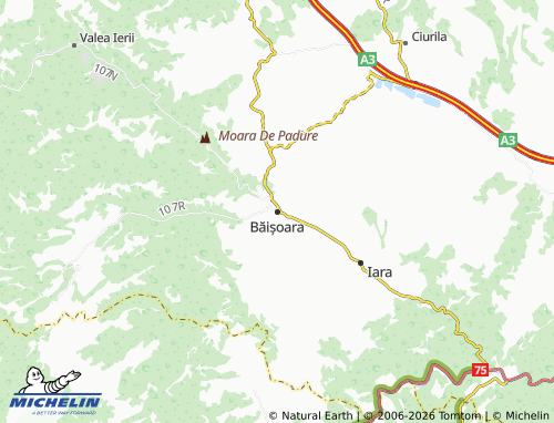 Carte MICHELIN Băișoara - ViaMichelin