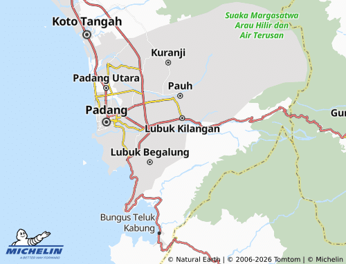 Mapa MICHELIN Tarantang - ViaMichelin