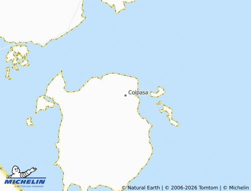 Mappa MICHELIN Coipasa - ViaMichelin
