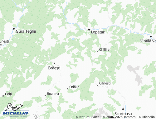 Mapa MICHELIN Trestioara - ViaMichelin