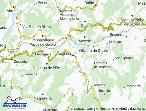 MICHELIN Cinfães map - ViaMichelin
