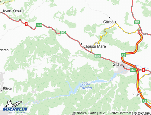 MICHELIN Agârbiciu map - ViaMichelin