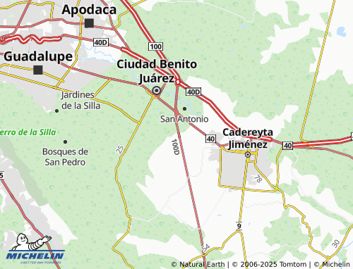 MICHELIN Fraccionamiento Valle del Roble Sector Olmo map - ViaMichelin