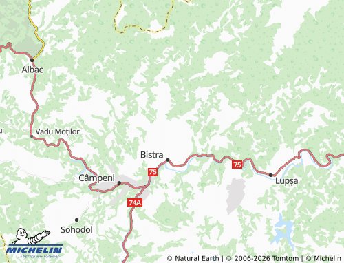 Carte MICHELIN Ciuldești - ViaMichelin
