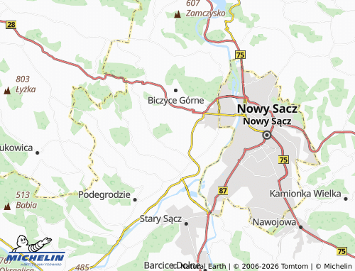 MICHELIN Niskowa map - ViaMichelin