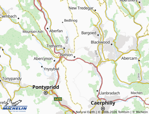 Mappa MICHELIN Nelson - ViaMichelin