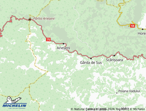 Mappa MICHELIN Dealu Bajului - ViaMichelin
