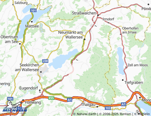 Mapa MICHELIN Hankham - ViaMichelin