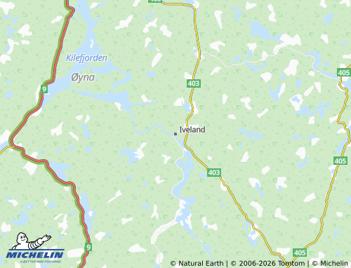 MICHELIN Iveland map - ViaMichelin