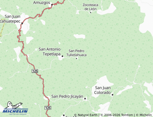 MICHELIN San Pedro Tulixtlahuaca map - ViaMichelin