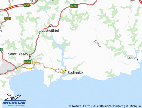 MICHELIN Saint Veep map - ViaMichelin