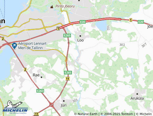 MICHELIN Ülejõe map - ViaMichelin
