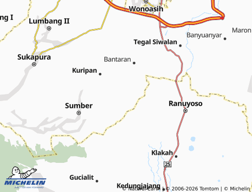 MICHELIN Wonoasri map - ViaMichelin