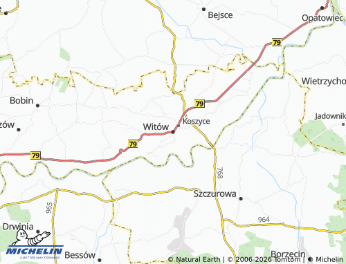 MICHELIN Witów map - ViaMichelin