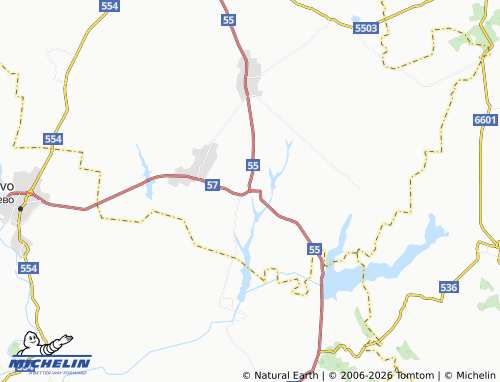 MICHELIN Novoselets map - ViaMichelin
