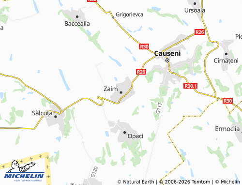 MICHELIN Zaim map - ViaMichelin