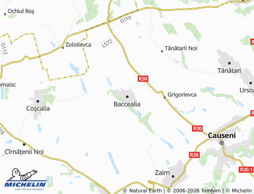 MICHELIN Baccealia map - ViaMichelin