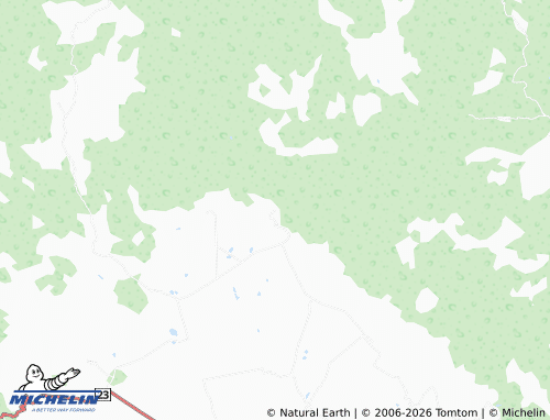 Mappa MICHELIN Rancho Nuevo - ViaMichelin