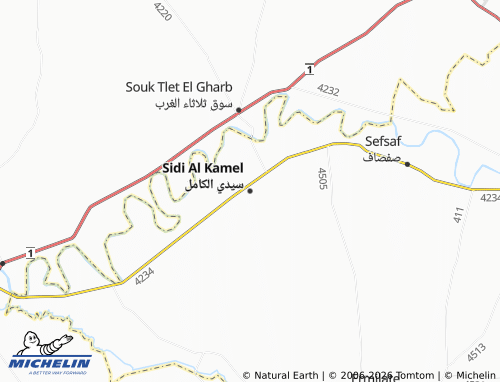 MICHELIN Seedi al-Kamil map - ViaMichelin