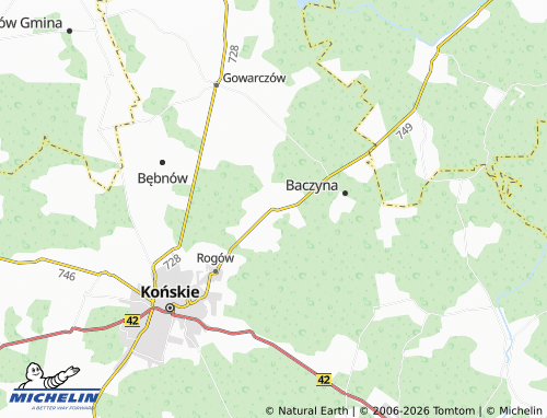 Carte MICHELIN Nieświń - ViaMichelin