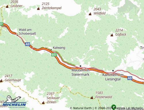 MICHELIN Magdwiesen map - ViaMichelin