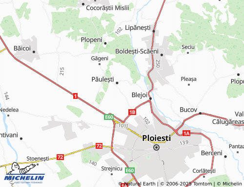 MICHELIN Păuleștii Noi map - ViaMichelin