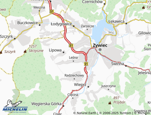 MICHELIN Sienna map - ViaMichelin