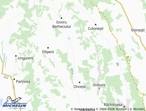 MICHELIN Tarnița map - ViaMichelin