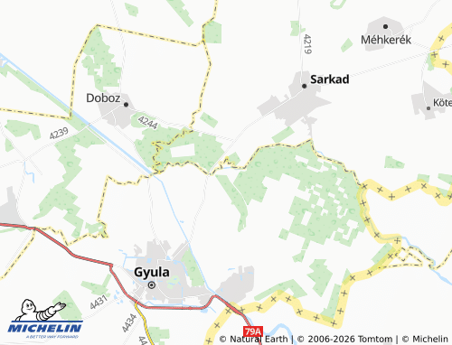 Mapa MICHELIN Városerdő - ViaMichelin