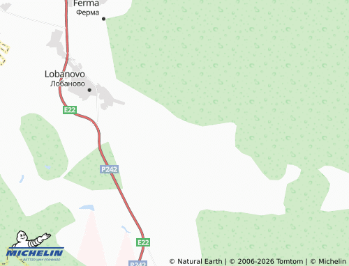 MICHELIN-Landkarte Gorbunovo - ViaMichelin