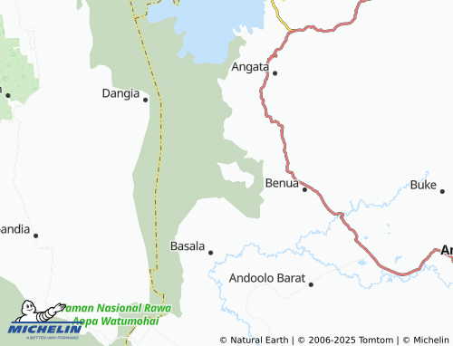 MICHELIN Horodopi map - ViaMichelin