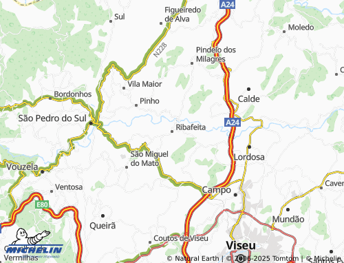 MICHELIN Ribafeita map - ViaMichelin