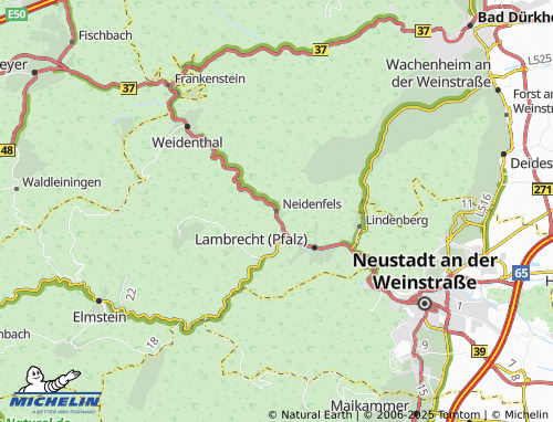 MICHELIN Neidenfels map - ViaMichelin