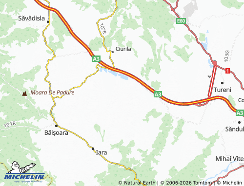 Mappa MICHELIN Pădureni - ViaMichelin