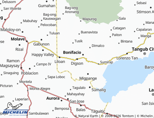 MICHELIN Digson map - ViaMichelin