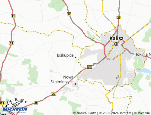 Carte MICHELIN Biskupice - ViaMichelin