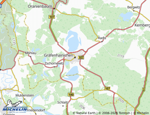 MICHELIN Gräfenhainichen map - ViaMichelin