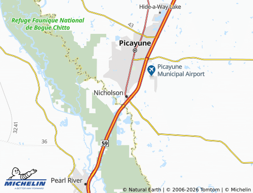 Mappa MICHELIN Nicholson - ViaMichelin