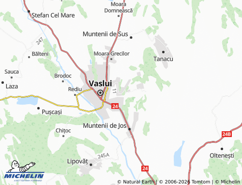Kaart MICHELIN Viișoara - ViaMichelin