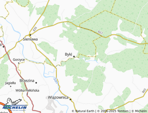 MICHELIN Byki map - ViaMichelin