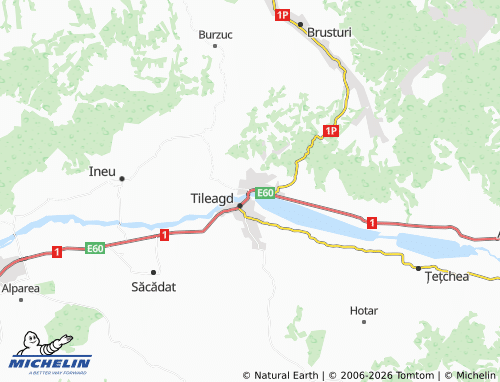 Mappa MICHELIN Uileacu de Criș - ViaMichelin