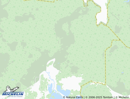 MICHELIN Gribanovo map - ViaMichelin
