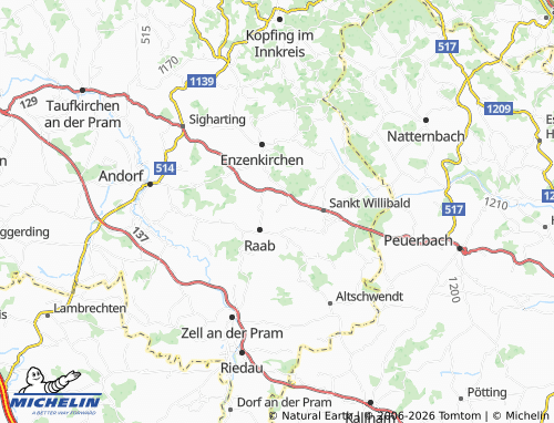 Mapa MICHELIN Riedlhof - ViaMichelin