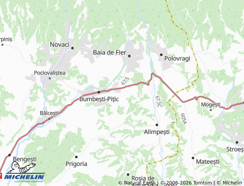 Mapa MICHELIN Poienari - ViaMichelin