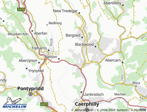 Mappa MICHELIN Penybryn - ViaMichelin