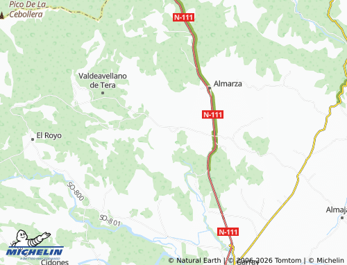 MICHELIN Rebollar map - ViaMichelin