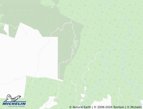 MICHELIN Nuevo Progreso map - ViaMichelin