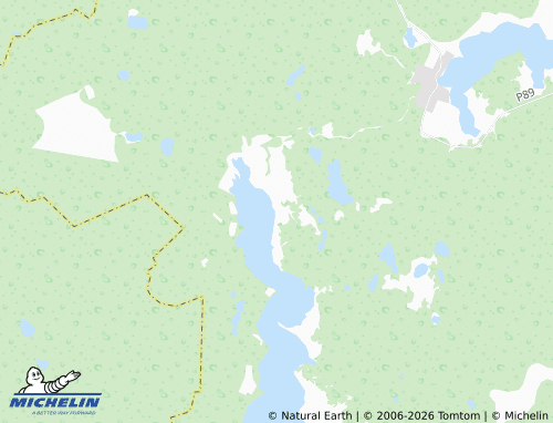 Carte MICHELIN Shelekhovo - ViaMichelin